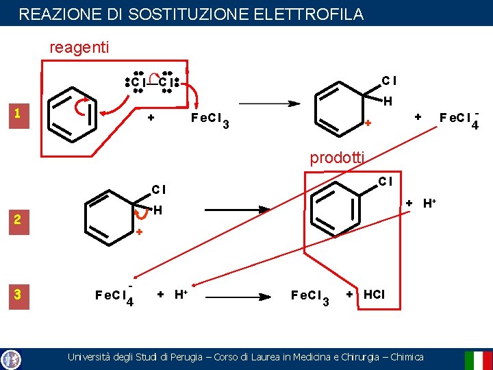 REAZIONE DI SOSTITUZIONE ELETTROFILA reagenti Cl Cl Cl H 1 F e. C l