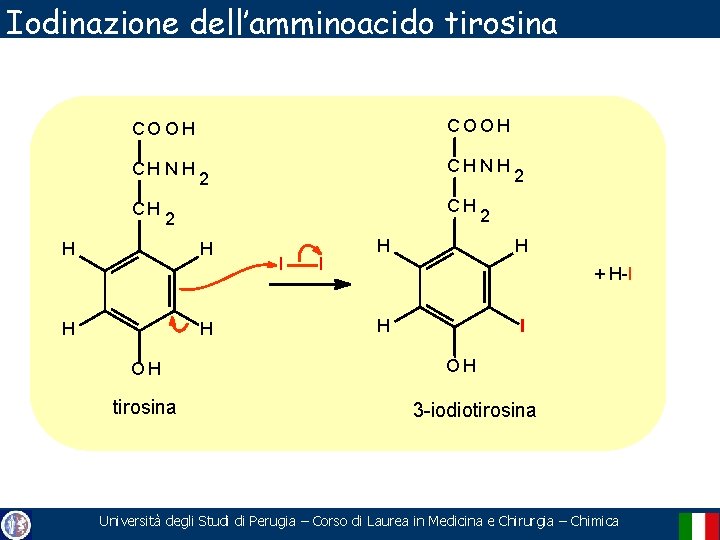 Iodinazione dell’amminoacido tirosina COOH CH N H CH 2 H H OH tirosina I