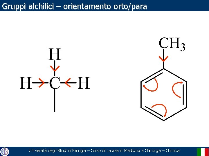 Gruppi alchilici – orientamento orto/para Università degli Studi di Perugia – Corso di Laurea