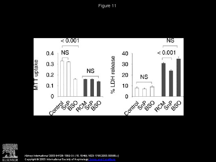 Figure 11 Kidney International 2003 64128 -139 DOI: (10. 1046/j. 1523 -1755. 2003. 00059.