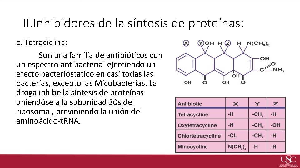 II. Inhibidores de la síntesis de proteínas: c. Tetraciclina: Son una familia de antibióticos
