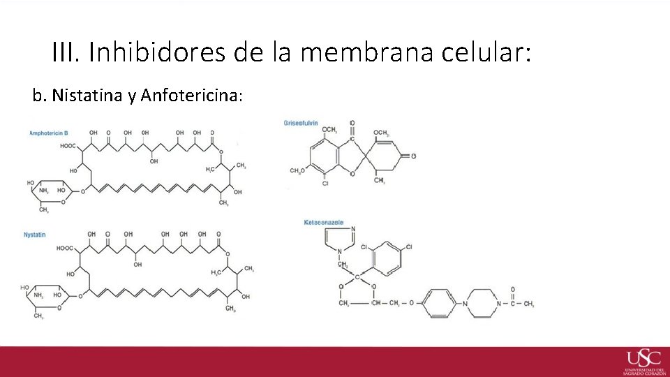 III. Inhibidores de la membrana celular: b. Nistatina y Anfotericina: 