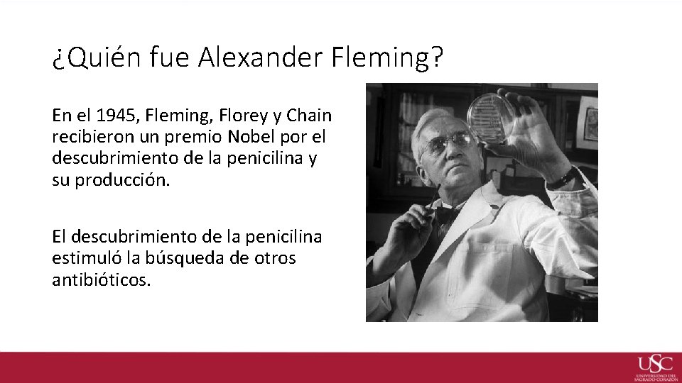 ¿Quién fue Alexander Fleming? En el 1945, Fleming, Florey y Chain recibieron un premio