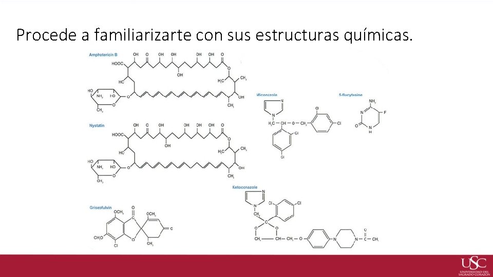 Procede a familiarizarte con sus estructuras químicas. 