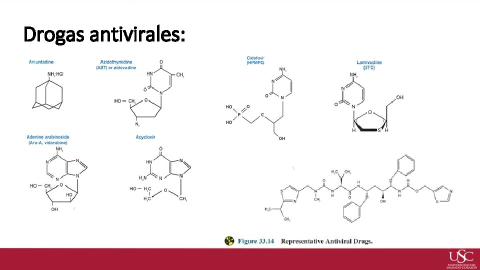 Drogas antivirales: 