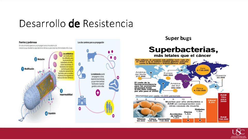 Desarrollo de Resistencia Super bugs 