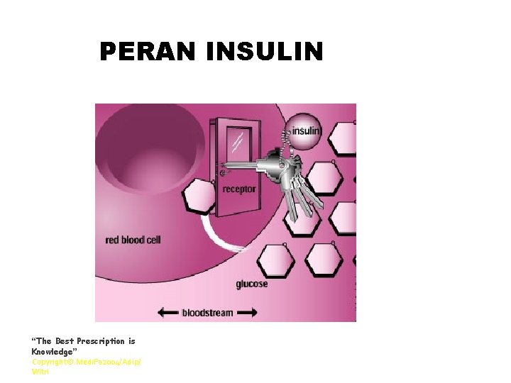 PERAN INSULIN “The Best Prescription is Knowledge” Copyright©. Medi. Fa 2004/Adip/ Witri 