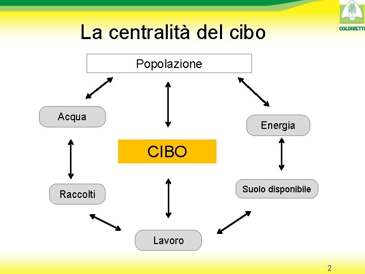 La centralità del cibo Popolazione Acqua Energia CIBO Suolo disponibile Raccolti Lavoro 2 