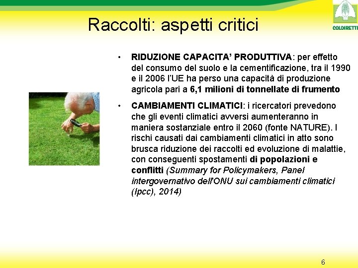 Raccolti: aspetti critici • RIDUZIONE CAPACITA’ PRODUTTIVA: per effetto del consumo del suolo e