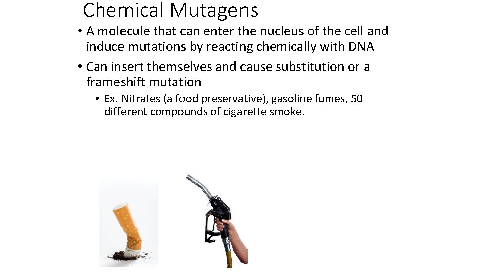 Chemical Mutagens • A molecule that can enter the nucleus of the cell and