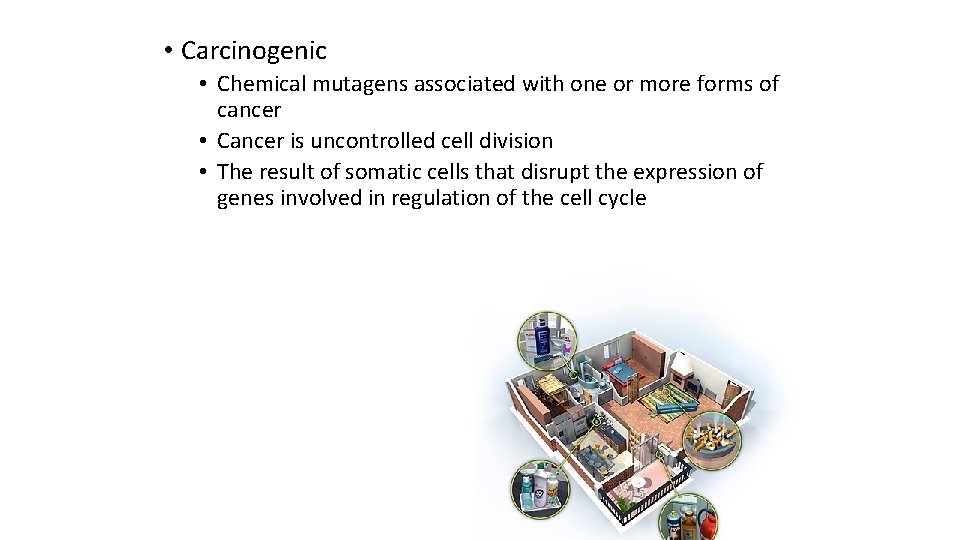  • Carcinogenic • Chemical mutagens associated with one or more forms of cancer