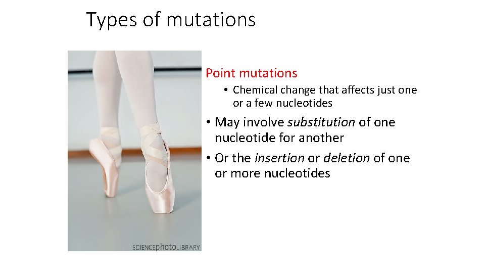 Types of mutations Point mutations • Chemical change that affects just one or a
