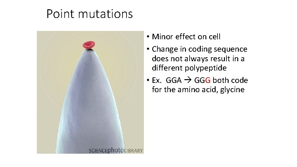 Point mutations • Minor effect on cell • Change in coding sequence does not