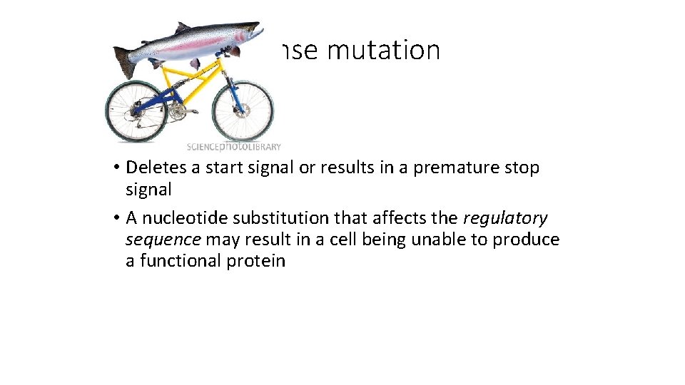 Nonsense mutation • Deletes a start signal or results in a premature stop signal