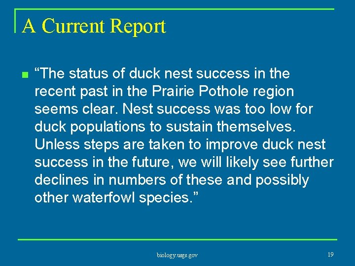 A Current Report n “The status of duck nest success in the recent past