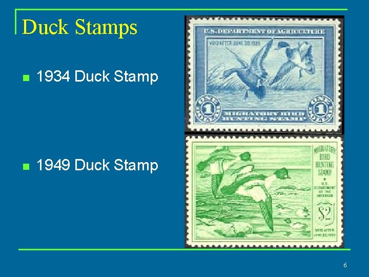 Duck Stamps n 1934 Duck Stamp n 1949 Duck Stamp 6 