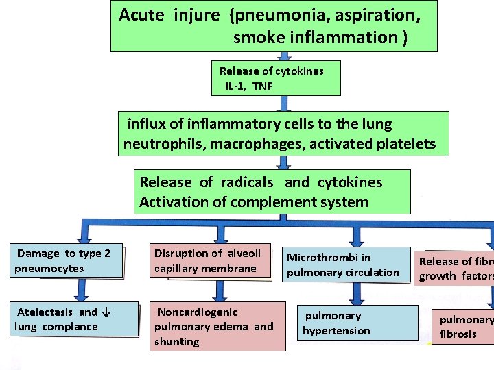 Acute injure (pneumonia, aspiration, smoke inflammation ) Release of cytokines IL-1, TNF influx of
