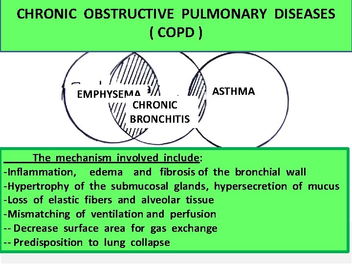 CHRONIC OBSTRUCTIVE PULMONARY DISEASES ( COPD ) EMPHYSEMA CHRONIC BRONCHITIS ASTHMA The mechanism involved