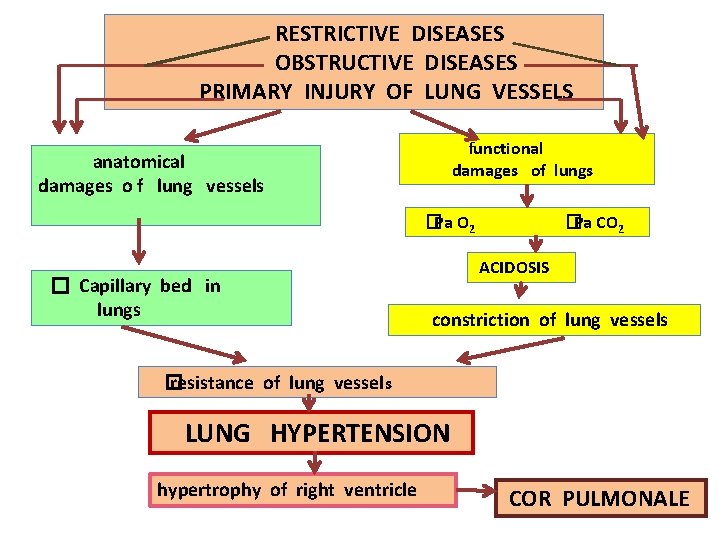 RESTRICTIVE DISEASES OBSTRUCTIVE DISEASES PRIMARY INJURY OF LUNG VESSELS functional damages of lungs anatomical