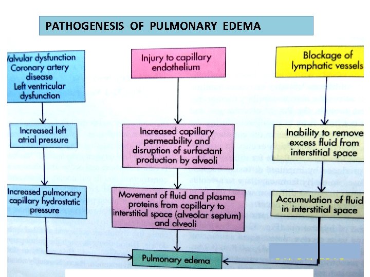 PATHOGENESIS OF PULMONARY EDEMA 