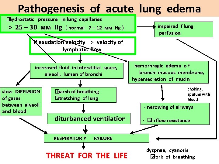 Pathogenesis of acute lung edema �hydrostatic pressure in lung capillaries > 25 – 30