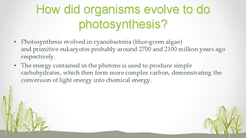 Photosynthesis Subtopic 2 9 Essential Idea Photosynthesis uses