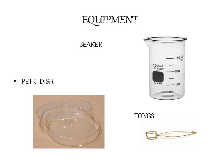 EQUIPMENT BEAKER • PETRI DISH TONGS 