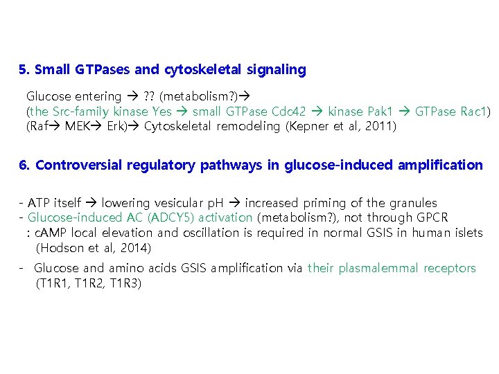 5. Small GTPases and cytoskeletal signaling Glucose entering ? ? (metabolism? ) (the Src-family