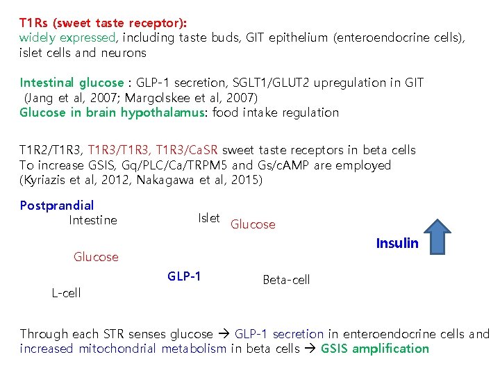 T 1 Rs (sweet taste receptor): widely expressed, including taste buds, GIT epithelium (enteroendocrine