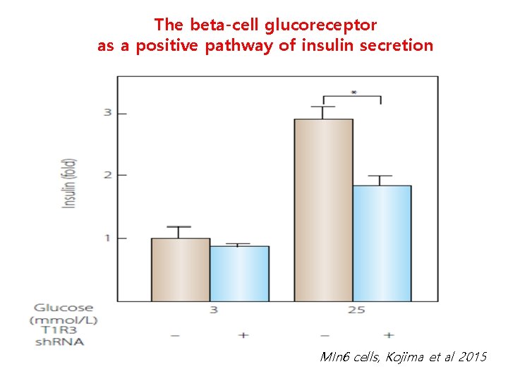 The beta-cell glucoreceptor as a positive pathway of insulin secretion MIn 6 cells, Kojima