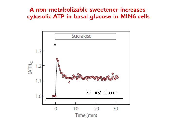 A non-metabolizable sweetener increases cytosolic ATP in basal glucose in MIN 6 cells 5.