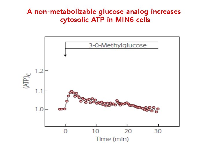 A non-metabolizable glucose analog increases cytosolic ATP in MIN 6 cells 
