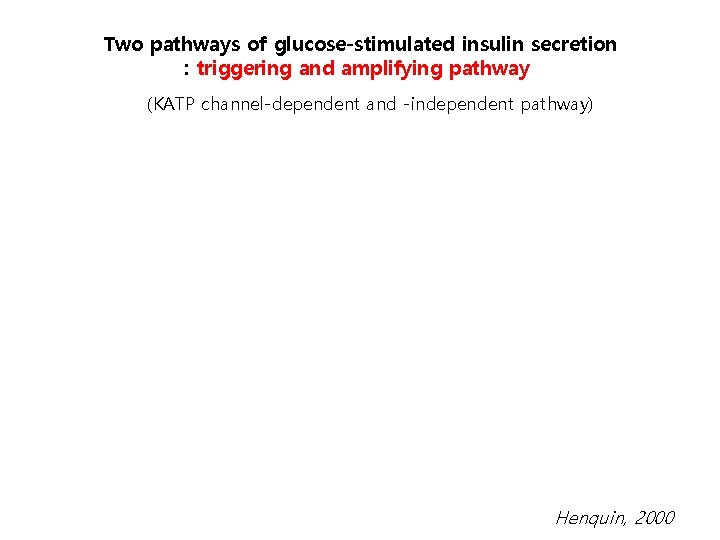 Two pathways of glucose-stimulated insulin secretion : triggering and amplifying pathway (KATP channel-dependent and
