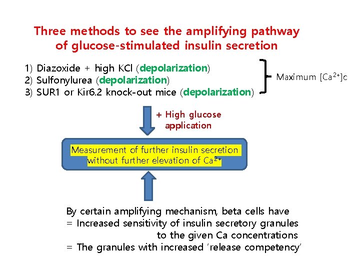 Three methods to see the amplifying pathway of glucose-stimulated insulin secretion 1) Diazoxide +