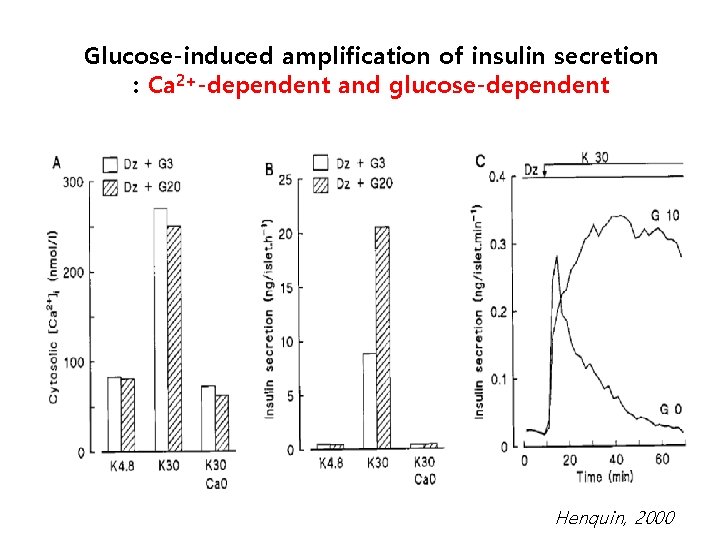 Glucose-induced amplification of insulin secretion : Ca 2+-dependent and glucose-dependent Henquin, 2000 