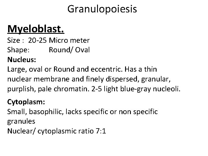 Granulopoiesis Myeloblast. Size : 20 -25 Micro meter Shape: Round/ Oval Nucleus: Large, oval