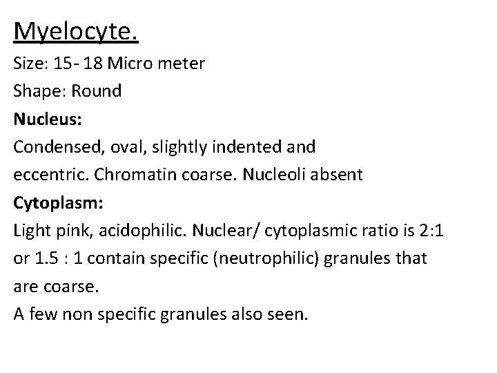 Myelocyte. Size: 15 - 18 Micro meter Shape: Round Nucleus: Condensed, oval, slightly indented