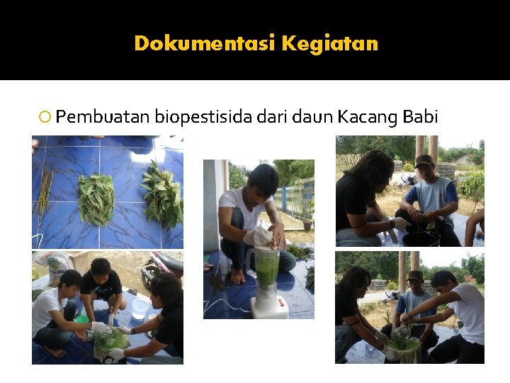 Dokumentasi Kegiatan Pembuatan biopestisida dari daun Kacang Babi 