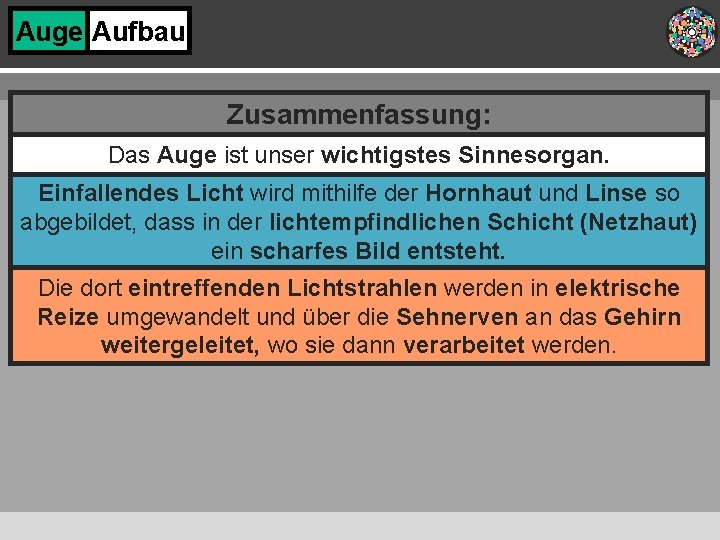 Auge Aufbau Zusammenfassung: Das Auge ist unser wichtigstes Sinnesorgan. Einfallendes Licht wird mithilfe der