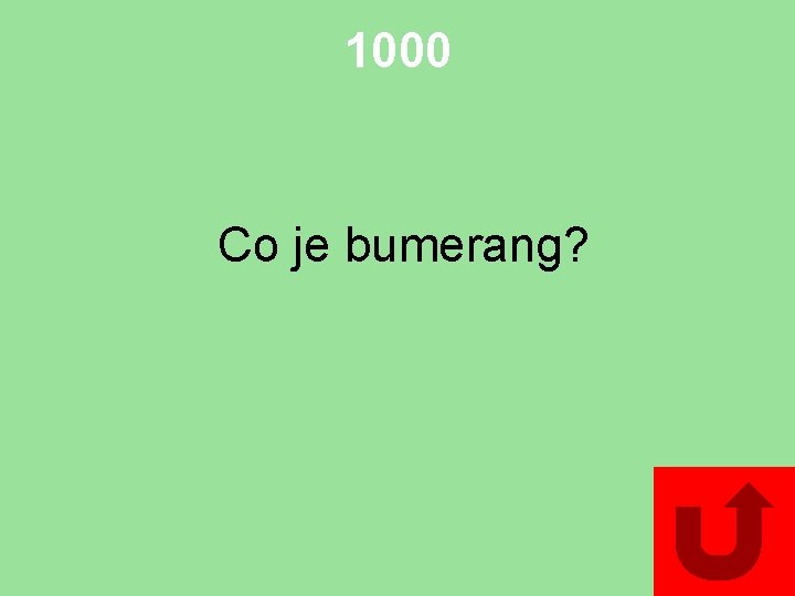 1000 Co je bumerang? 