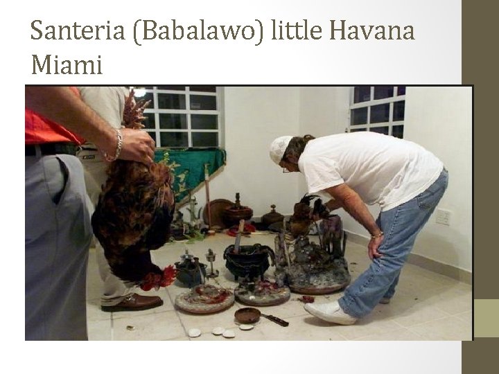 Santeria (Babalawo) little Havana Miami 