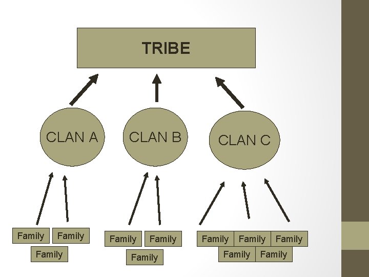 TRIBE CLAN A Family CLAN B Family CLAN C Family Family 