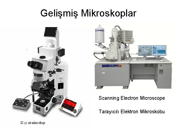 Gelişmiş Mikroskoplar Scanning Electron Microscope Tarayıcılı Elektron Mikroskobu 