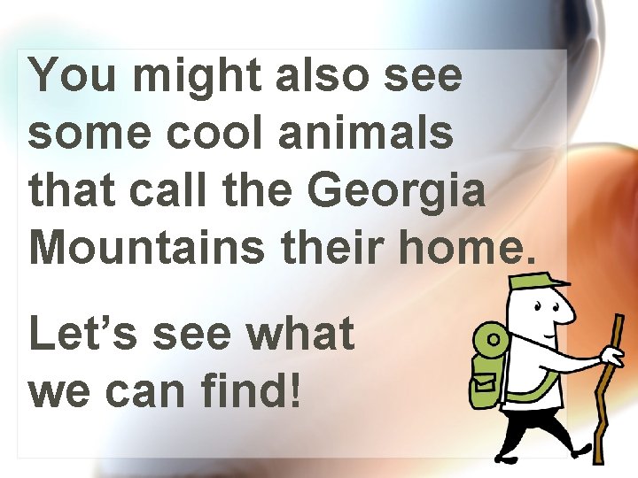 You might also see some cool animals that call the Georgia Mountains their home.