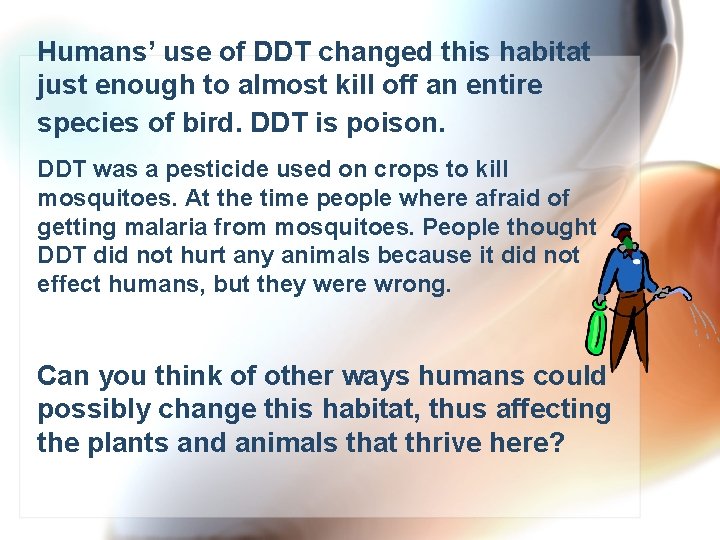 Humans’ use of DDT changed this habitat just enough to almost kill off an