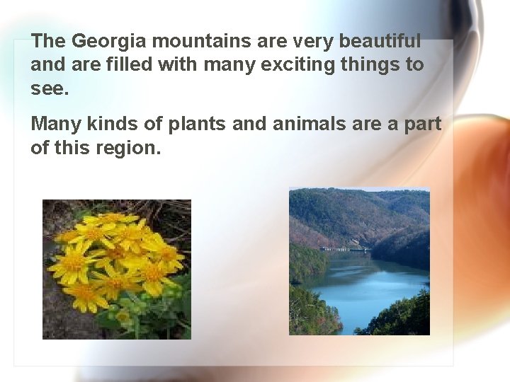 The Georgia mountains are very beautiful and are filled with many exciting things to