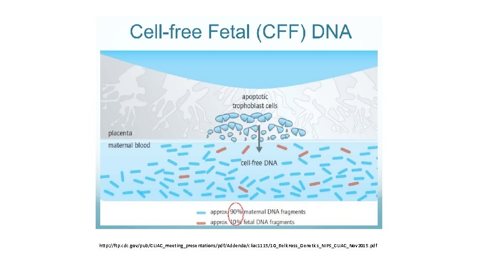 http: //ftp. cdc. gov/pub/CLIAC_meeting_presentations/pdf/Addenda/cliac 1115/10_Bellcross_Genetics_NIPS_CLIAC_Nov 2015. pdf 