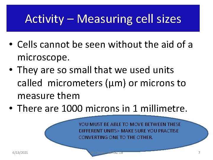 Activity – Measuring cell sizes • Cells cannot be seen without the aid of
