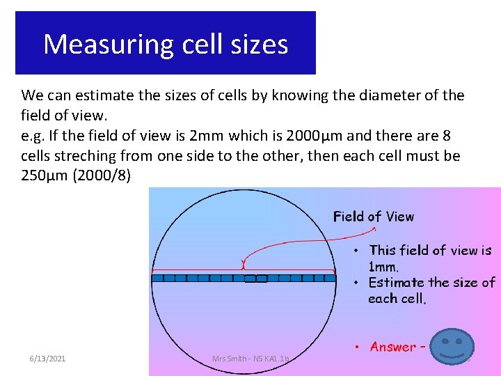 Measuring cell sizes We can estimate the sizes of cells by knowing the diameter