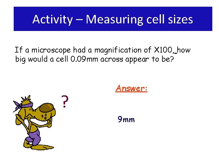 Activity – Measuring cell sizes If a microscope had a magnification of X 100,